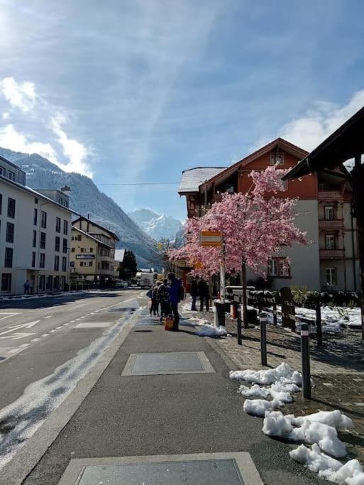 Matten bei Interlaken New.. Matten Central Family Suite, Sleeps 4 מראה חיצוני תמונה